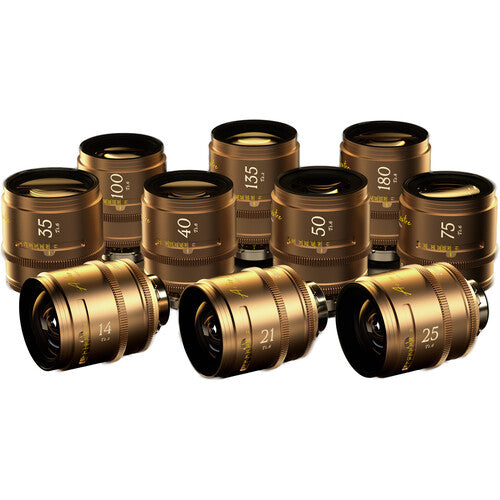 DZOFILM Arles Lustre 14/21/25/35/40/50/75/100/135/180mm(PL_Gold_Case_10pcs_Imperial)
