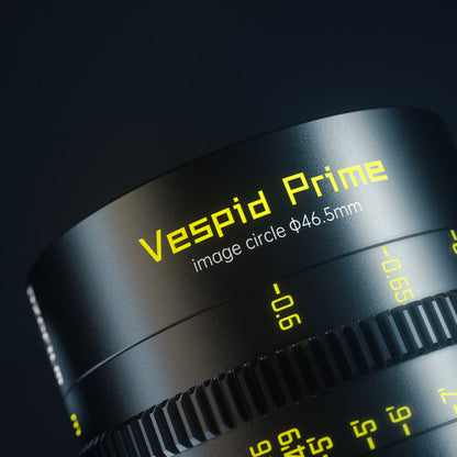 Vespid FF 100mm T2.1 PL & EF mount