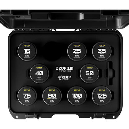 DZOFILM Vespid Prime 9-lens Kit-16/ 25/ 35/ 40/ 50/ 75/ 90 Macro imperial/ 100/ 125mm (PL+EF)