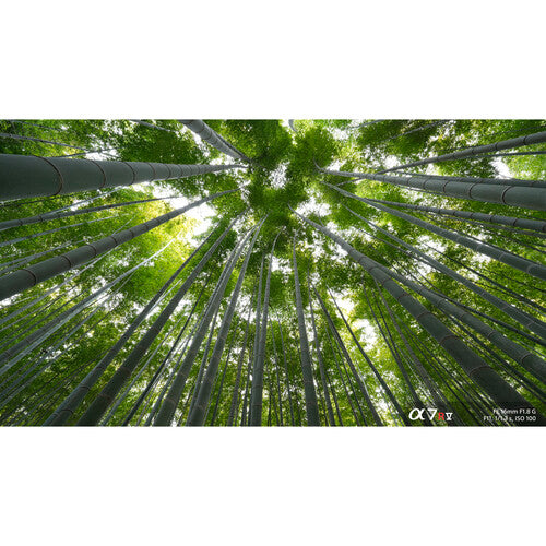 Sony FE 16mm f/1.8 G Lens (Sony E)