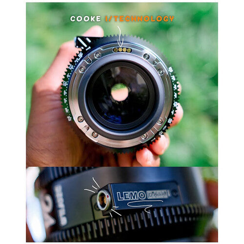 DZOFILM Vespid Prime2 85mm(PL_Black_Carton_1pcs_Imperial)